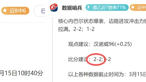 莱斯特城队官方确认 范尼担任球队主帅